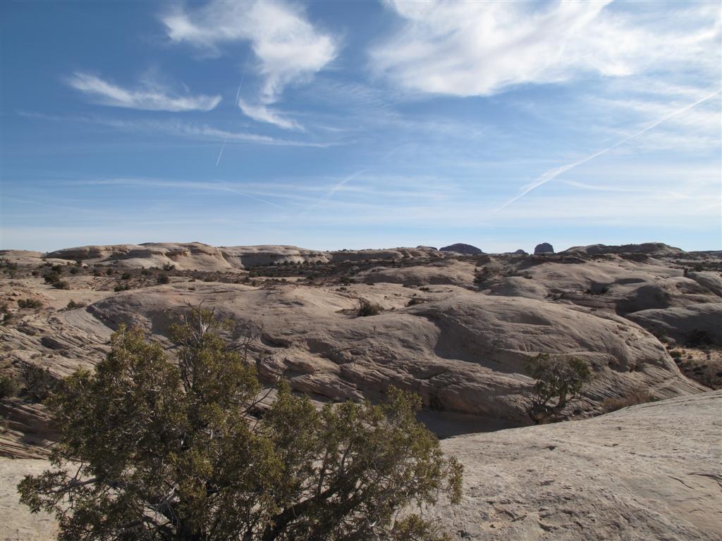 IMG_5550 (Large).JPG IMG_5550 (Large).JPG